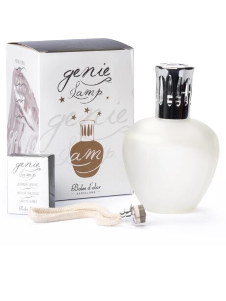 Elipse Mate- Genie Lamp